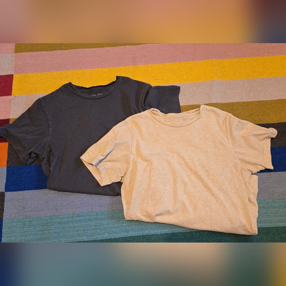 Everlane Short Sleeve Tees — Charcoal & Beige